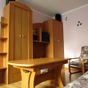 Apartment Black Cat